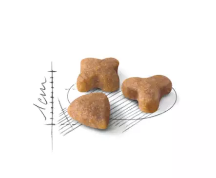 Royal Canin Sensible kissan kuivaruoka 2 kg PÄIVÄYS LÄHESTYY - Royal Canin kuivaruoat kissalle - 5560 - 2