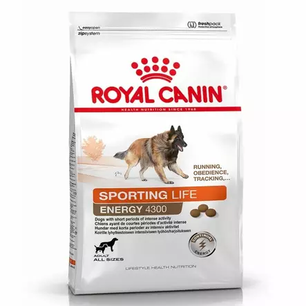 Royal Canin Sporting Life Energy 4300 15 kg PÄIVÄYS LÄHESTYY - Royal Canin kuivaruoat koiralle - 5770 - 1