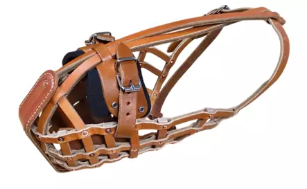 Mechelaar kuonokoppa nahkainen metallivahvikkeella koko 8 - Nahkaiset kuonokopat - 5552 - 2