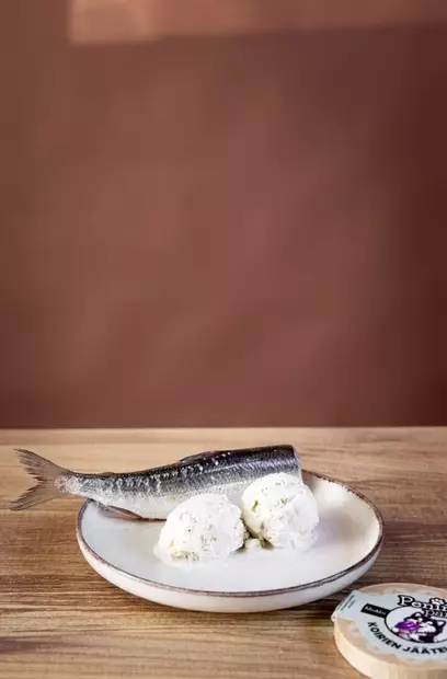 Penin Paras koiran jäätelö muikku 170 ml - Koiran jäätelöt - 5713 - 2