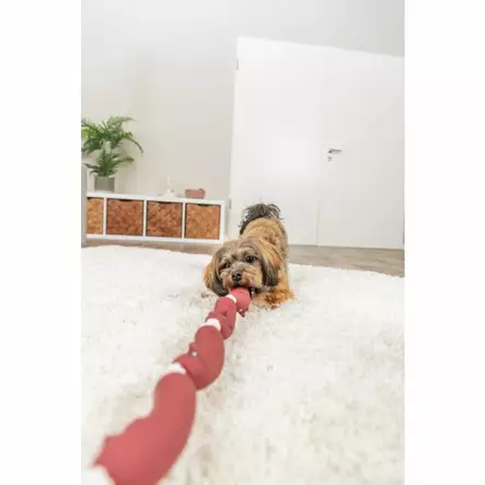 Trixie makkaraköysi koiranlelu 75 cm - Koiran kumi- ja lateksilelut - 5514 - 2