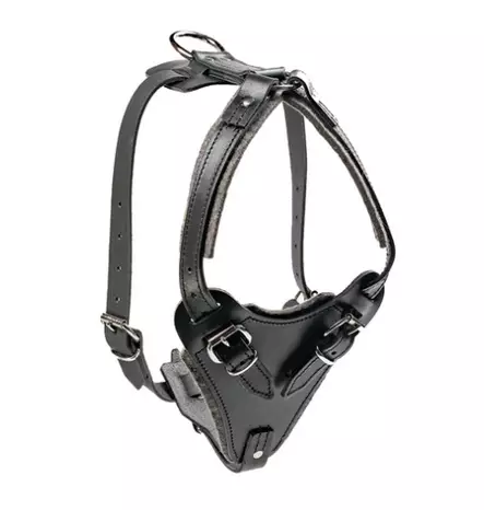 Frabo Tolppavaljas - Koiran valjaat - 154 - 1