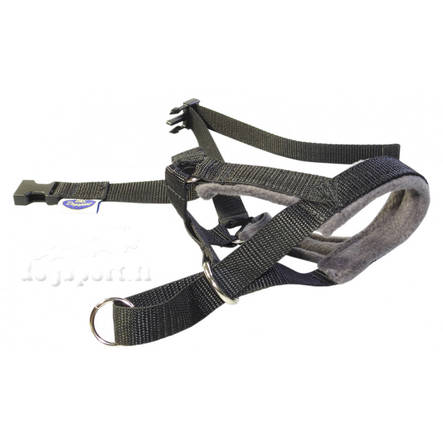 D&C Kuonopanta pehmusteella koko 1 - Koiran kuonopannat - 1447 - 2